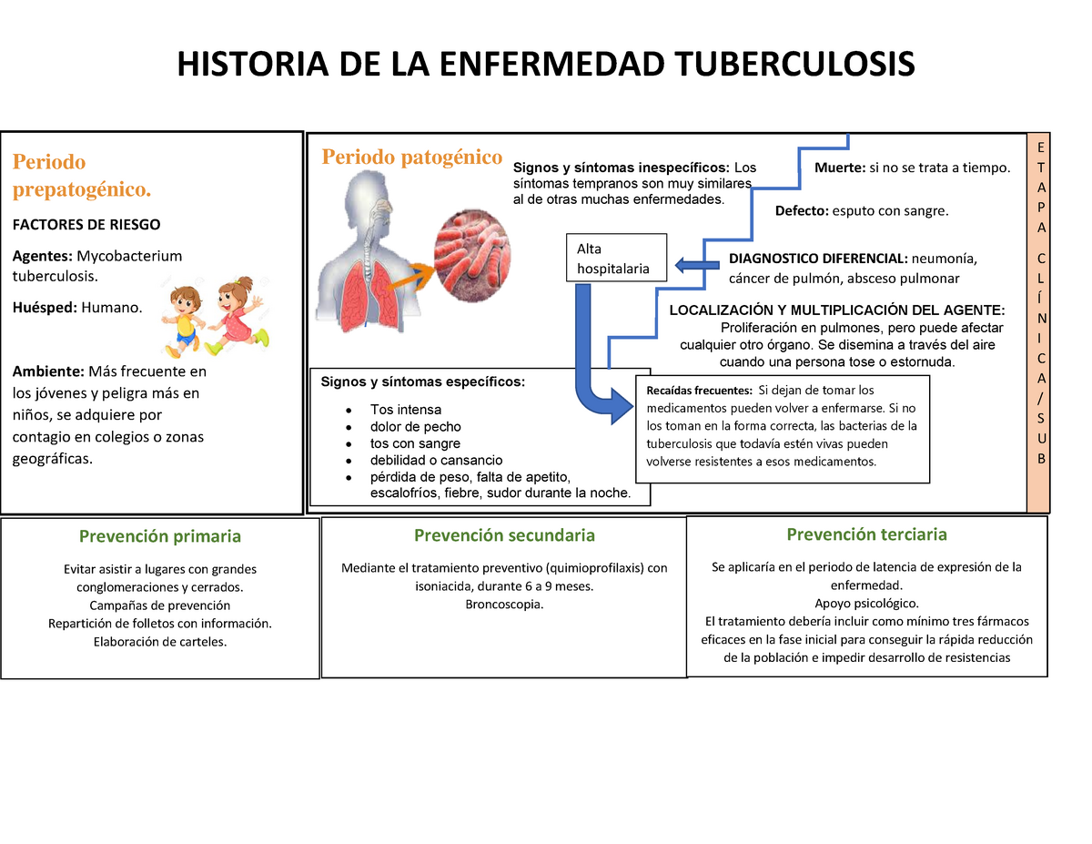 Historia Natural De La Enfermedad Mycobacterium Tuberculosis Pdmrea