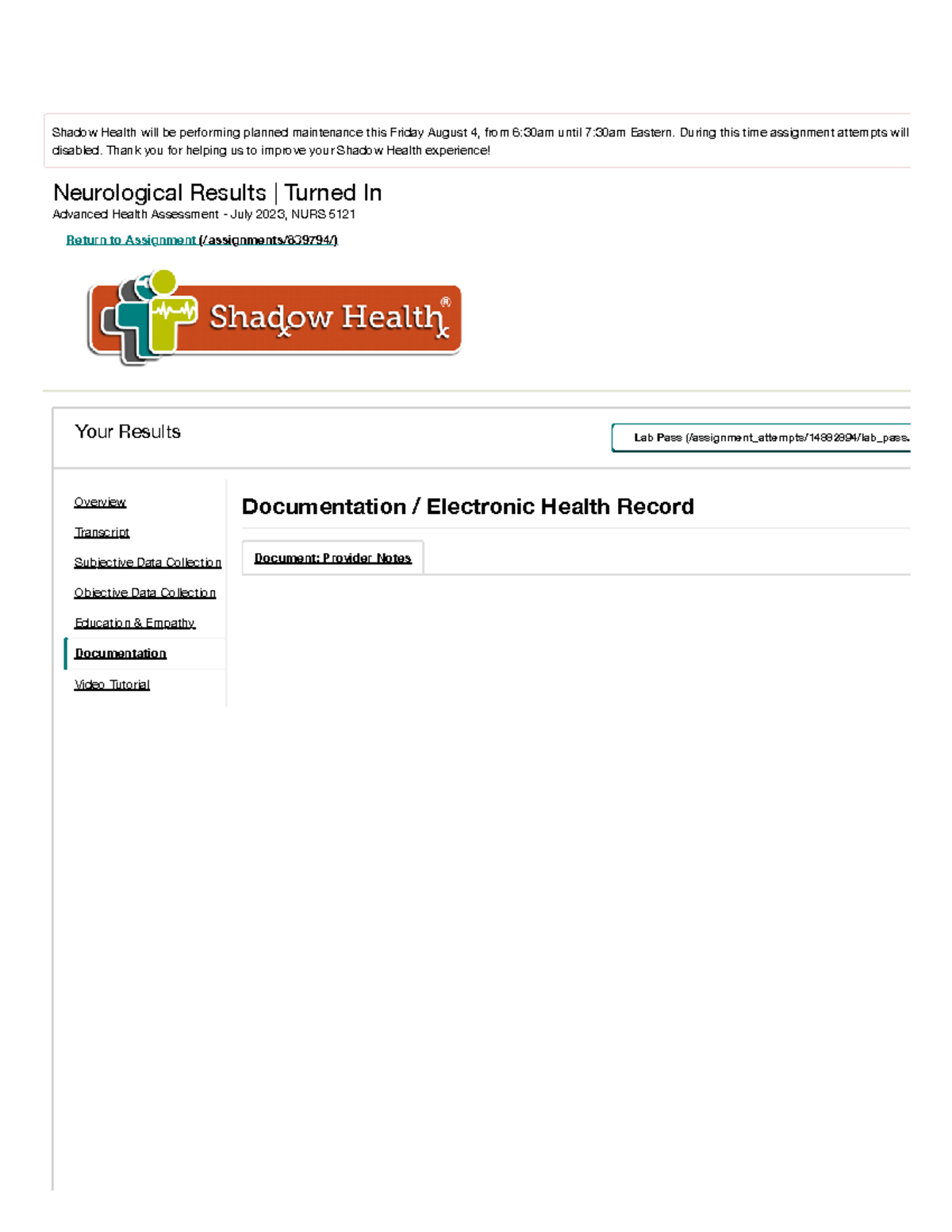 Neuro Documentation - Neurological Results | Turned In Advanced Health ...