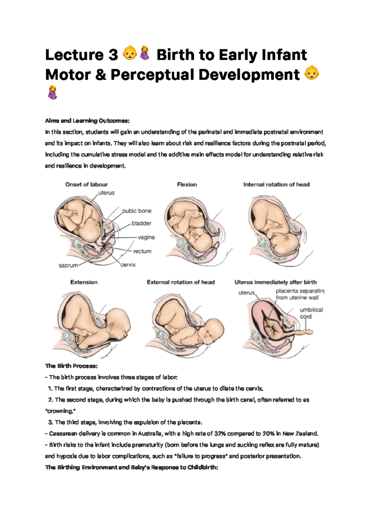 Lecture 3 - Birth To Early Infant Motor & Perceptual Development ...