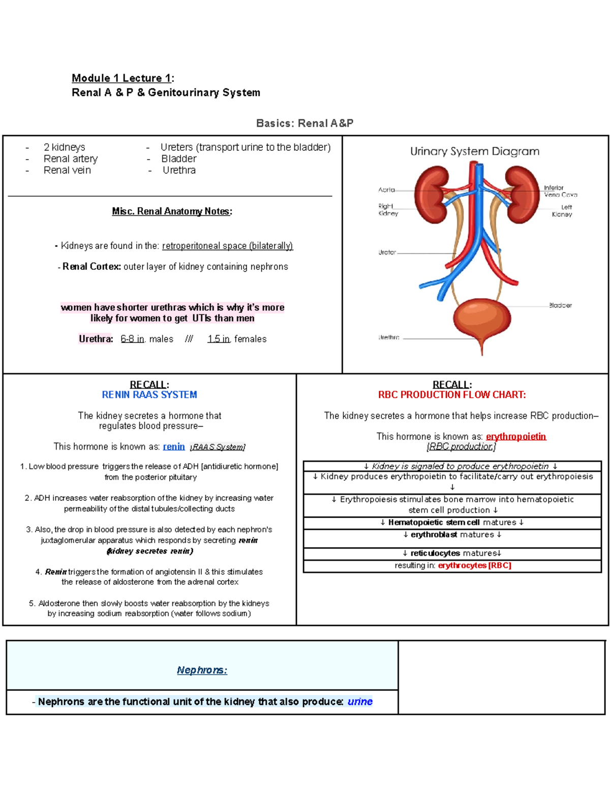 Student notes exam 1 notes mod.1 Renal p p-II - Module 1 Lecture 1 ...