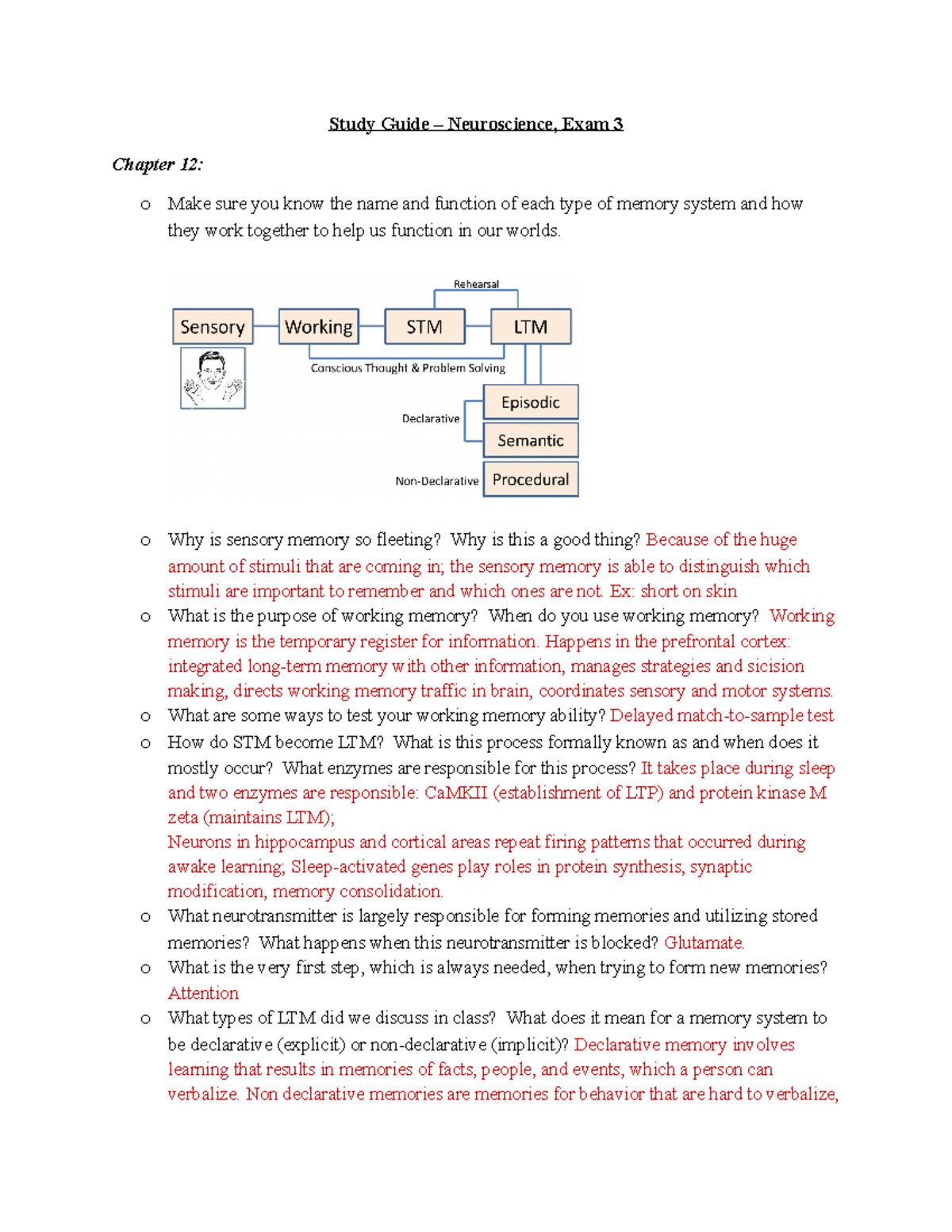 S17 study guide for Exam 4 for UNG Neuroscience course - Study Guide ...