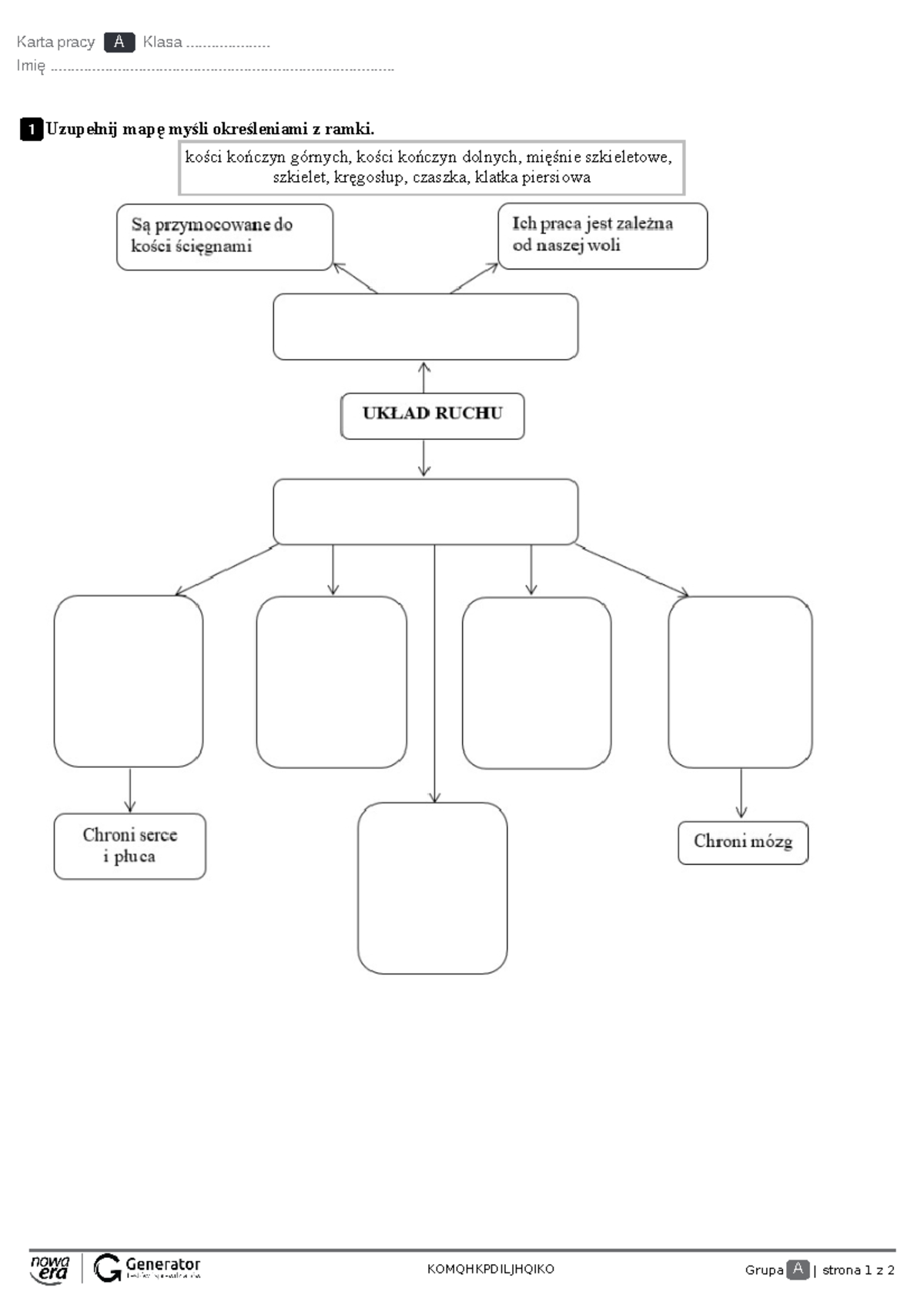 Szkielet I Mięśnie Umożliwiają Ruch Klasa 4 www.studocu.com
