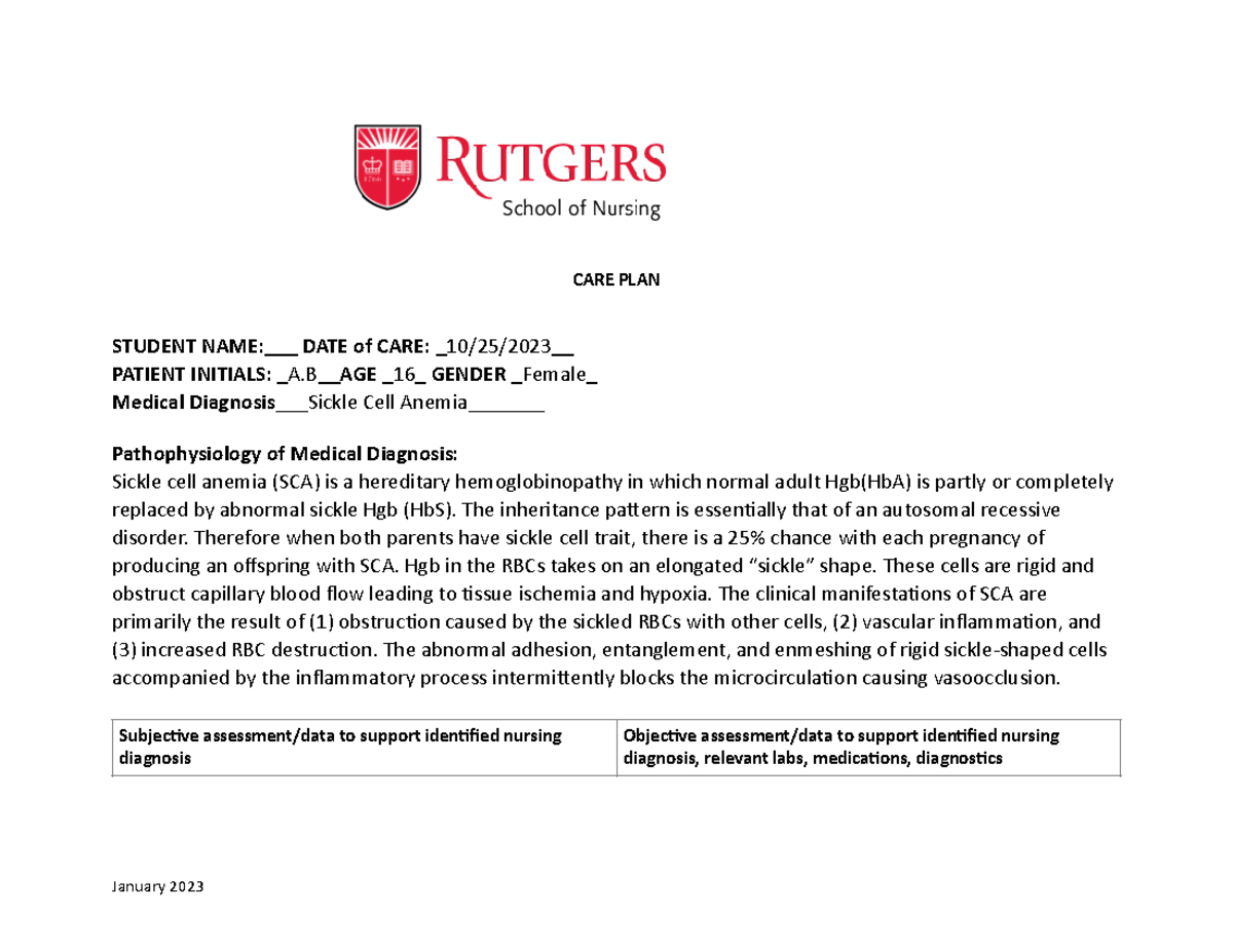 frontiers-allogeneic-hematopoietic-stem-cell-transplantation-to-cure