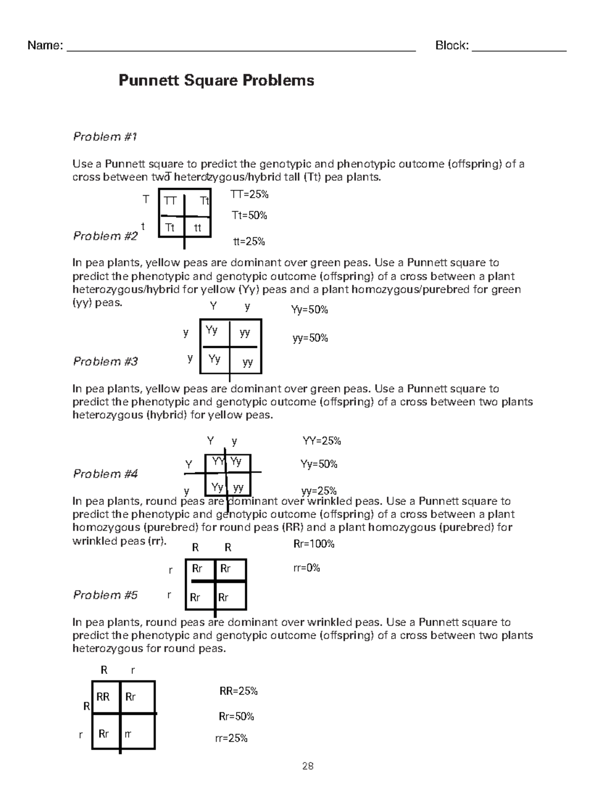 Kami Export   Jeremy German   Punnett Square Practice Problems   2828