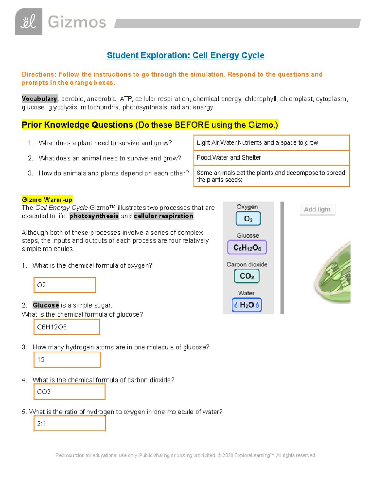 Navya Abeita Cell Energy Gizmo Student Exploration Cell Energy