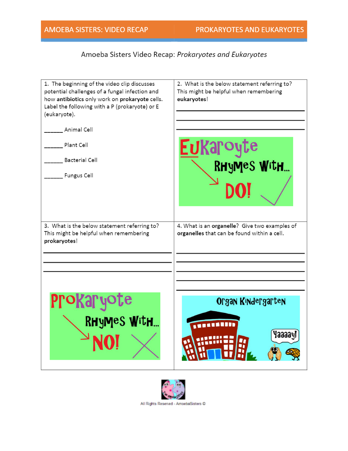 Amoeba Sisters Video Recap Prokaryotes and Eukaryotes - Bio22 With Regard To Prokaryotes Vs Eukaryotes Worksheet