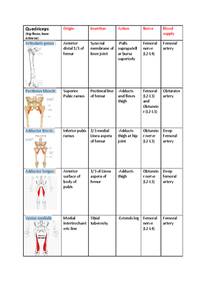 Foot Anatomy table - Foot Origin Insertion Action Nerve Blood supply ...