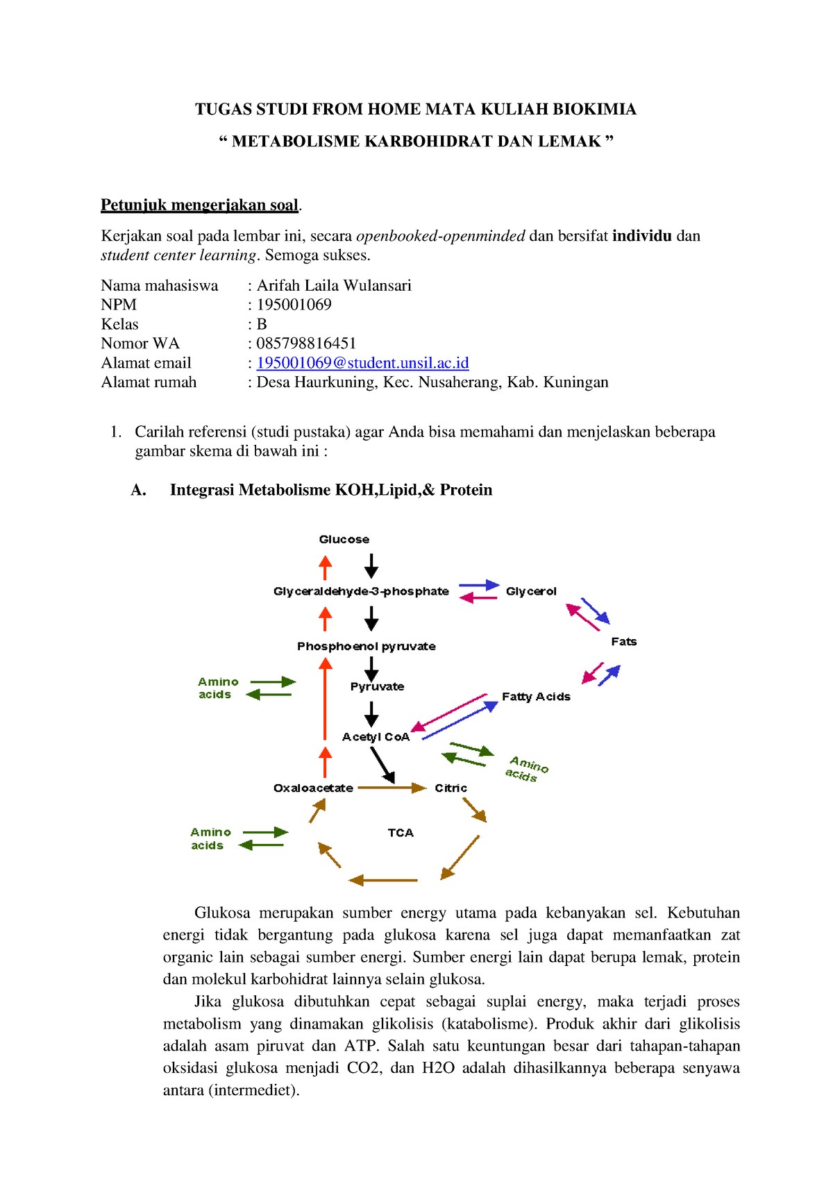 Metabolisme Karbohidrat DAN Lemak - TUGAS STUDI FROM HOME MATA KULIAH ...