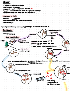 Lecture 17-Protists - Simplified Notes on Protists- Algae, Diatoms ...