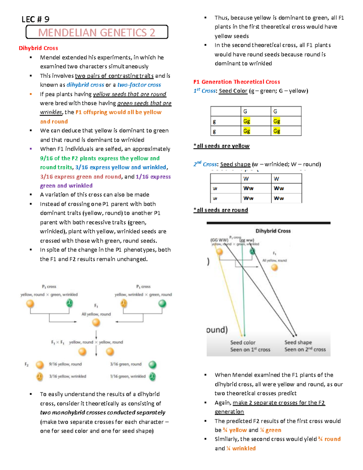 9 Mendelian Genetics 2 Converted - LEC # 9 MENDELIAN GENETICS 2 ...