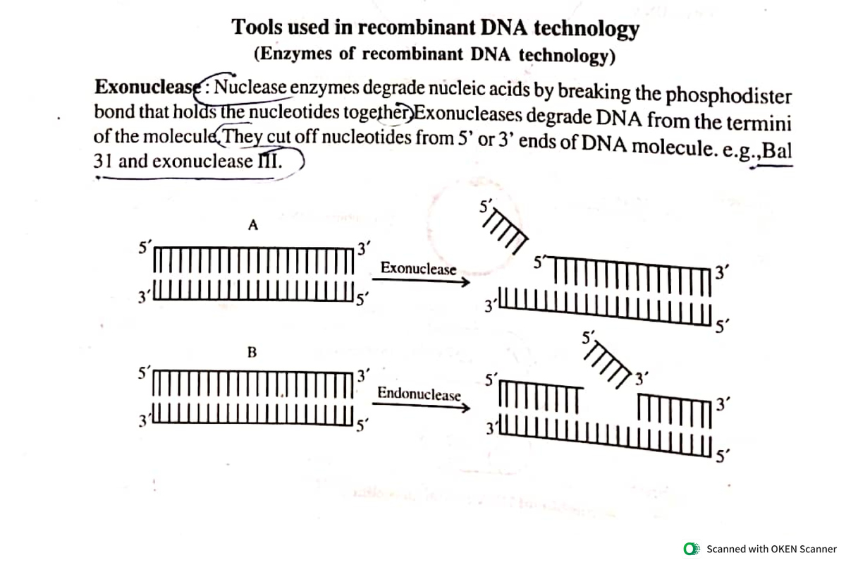 essay on recombinant dna technology