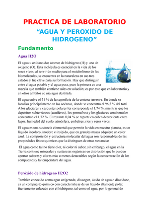 El Agua Oxigenada, PDF, Peróxido de hidrógeno