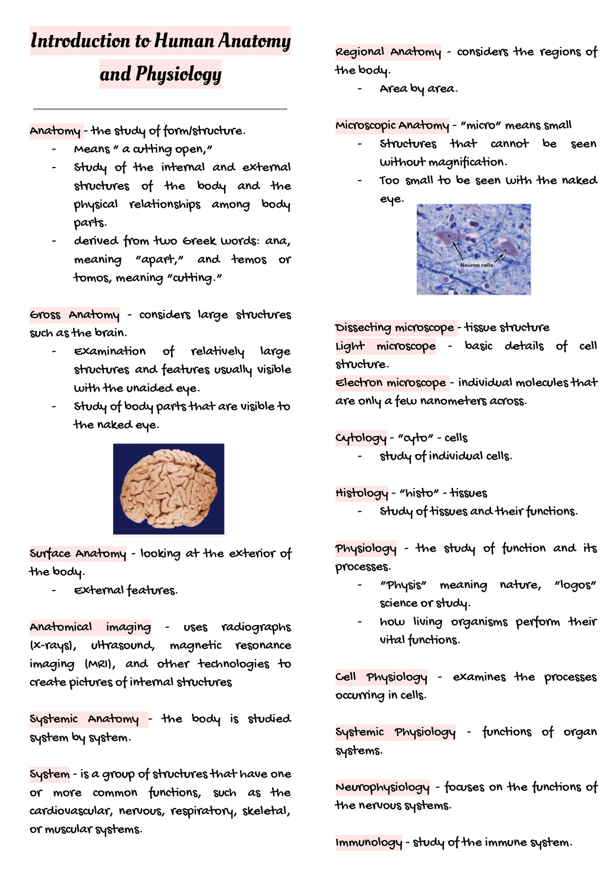 Chapter 1 - ...... - Introduction To Human Anatomy And Physiology ...