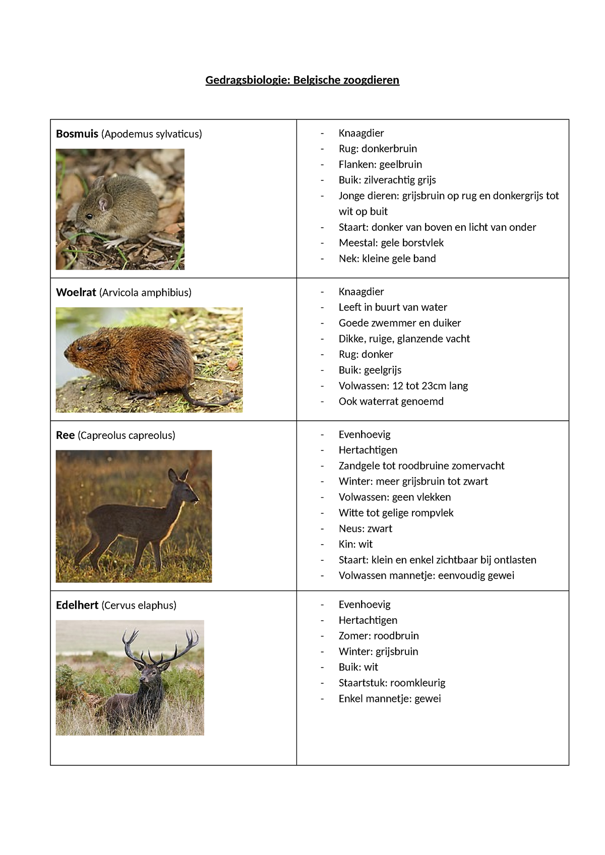 Gedragsbiologie Belgische Zoogdieren - Gedragsbiologie: Belgische ...