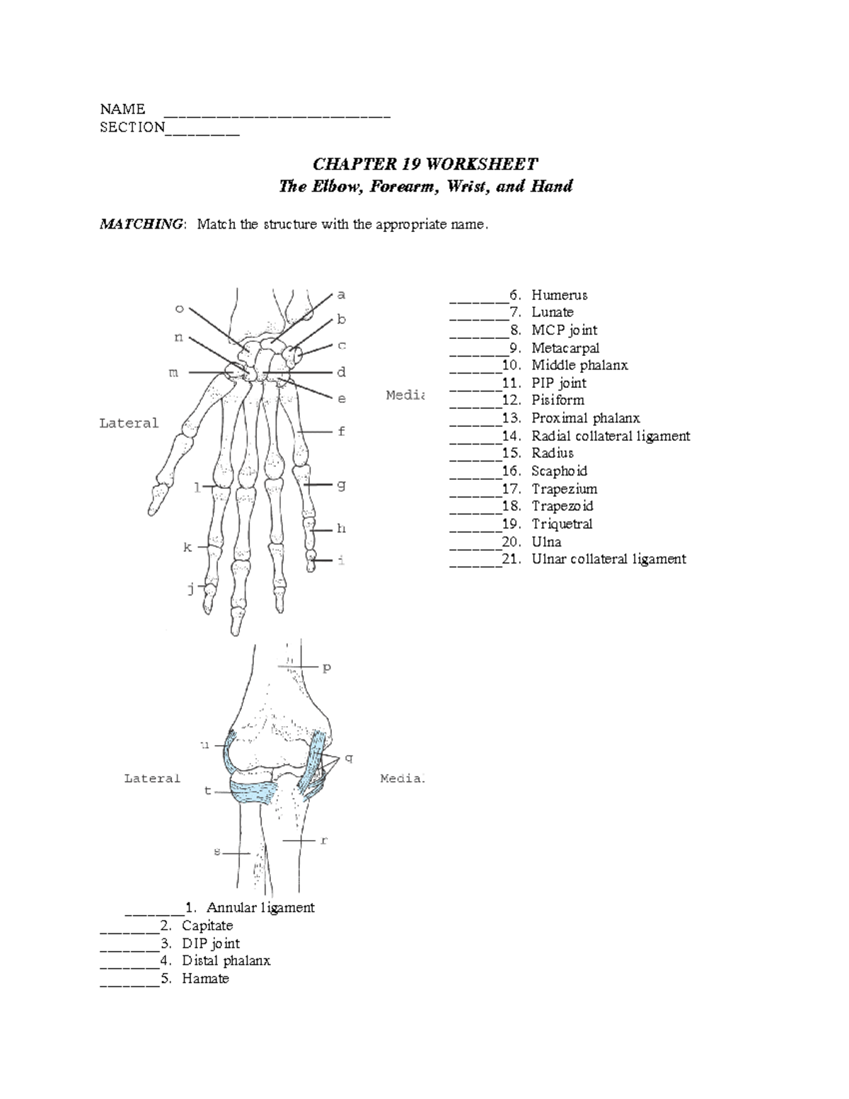 Elbow WS notes NAME ______________________________ SECTION