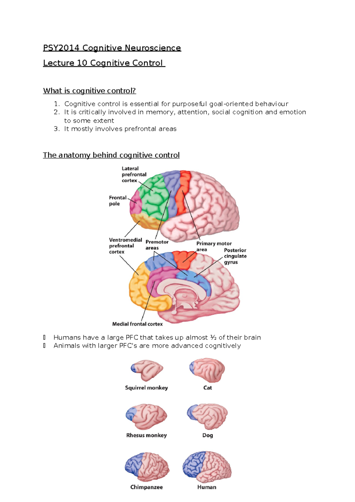 Cognitive Neuroscience: Cognitive Control - PSY2014 Cognitive ...