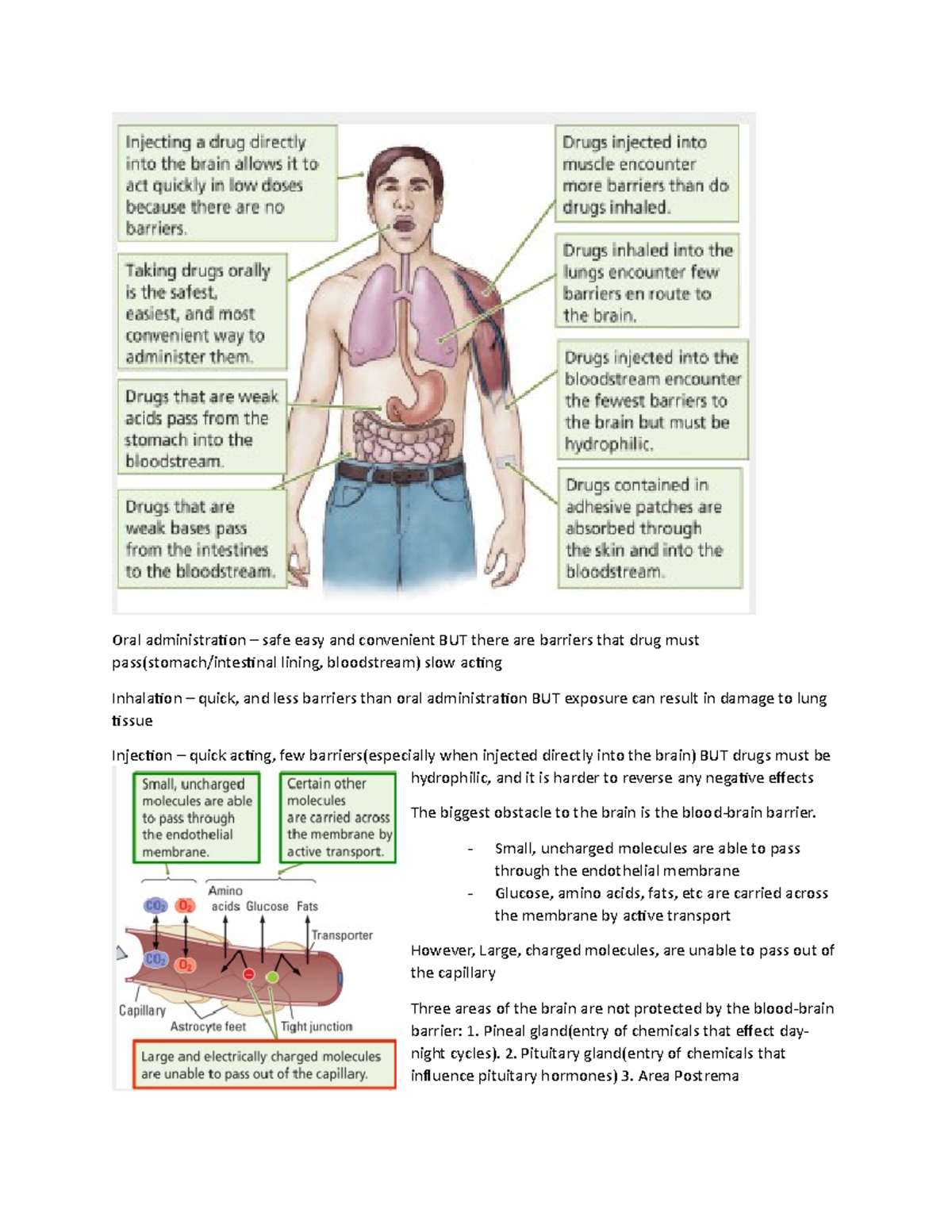 Drugs and absorption Oral administration safe easy and convenient BUT