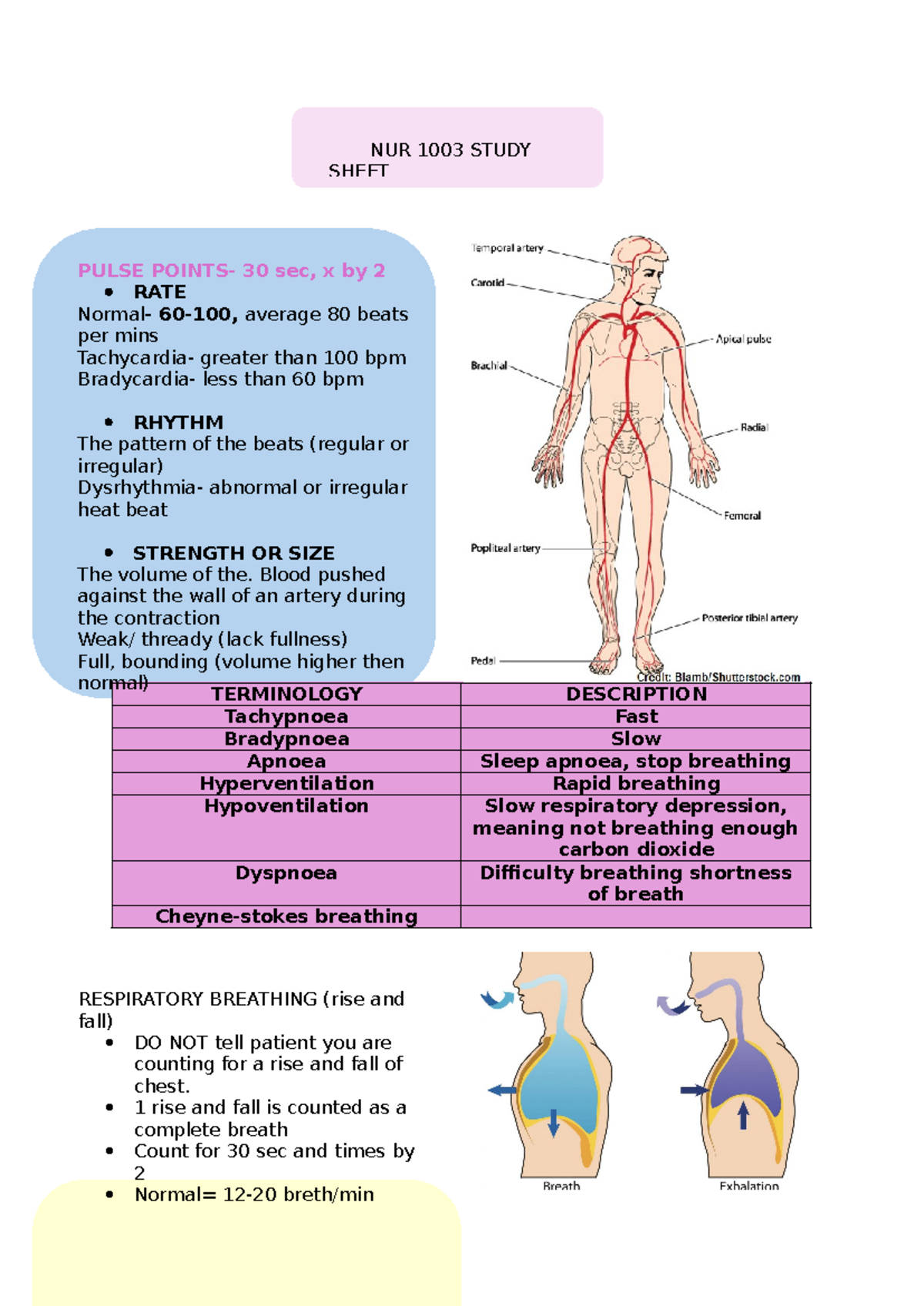 Nur1003 study sheet[ 55] - TERMINOLOGY DESCRIPTION Tachypnoea Fast ...