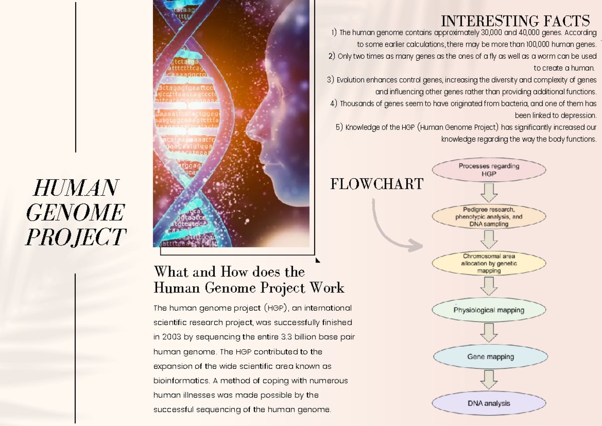 Human Genome Project - The HGP contributed to the expansion of the wide ...