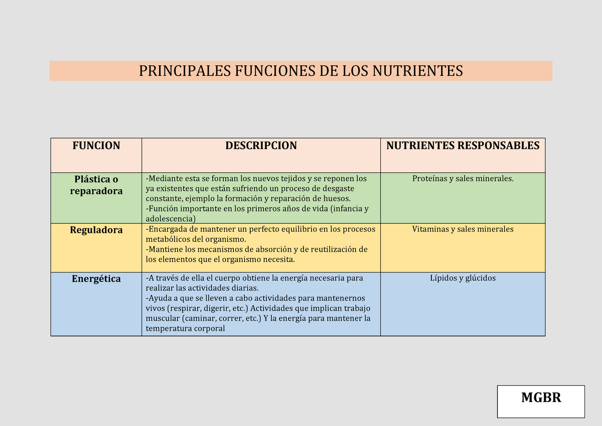 Funciones DE LOS Nutrientes PRINCIPALES FUNCIONES DE NUTRIENTES FUNCION Studocu