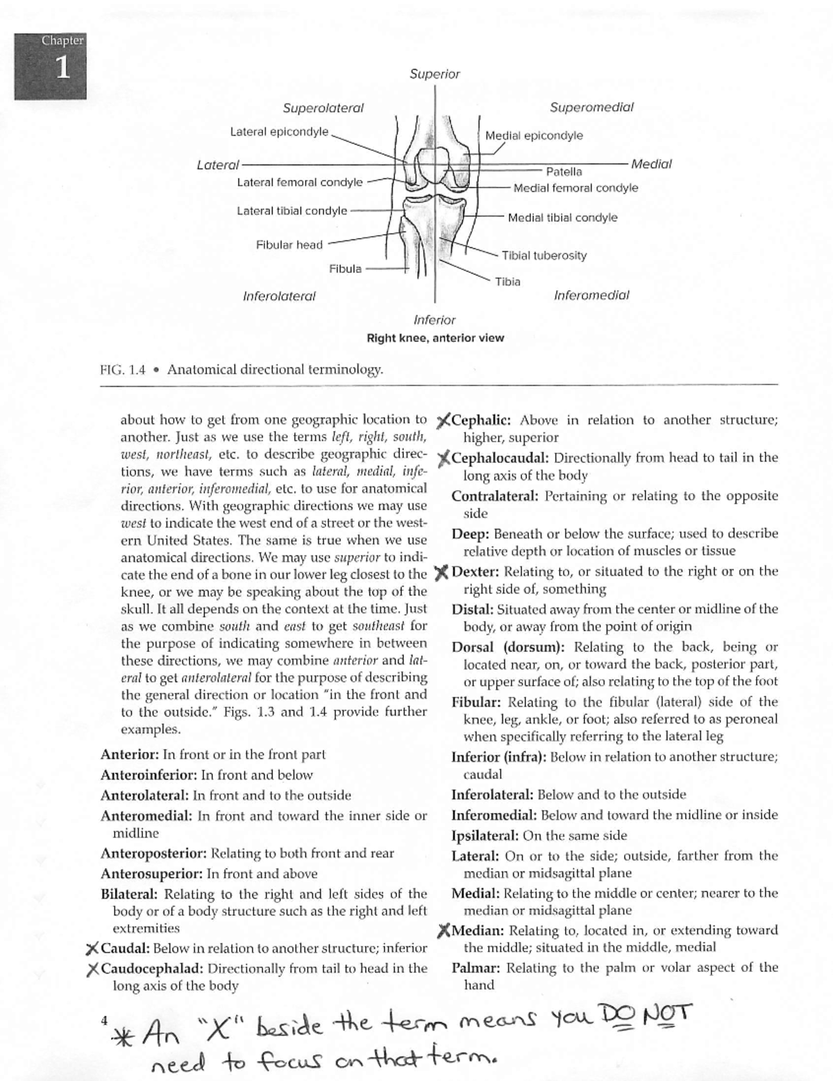Directional Terminology - Chapter 1 Superior Superolateral Superomedial ...