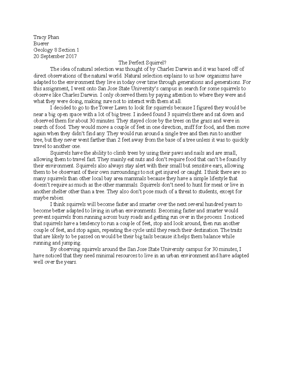 Squirrels case essay image