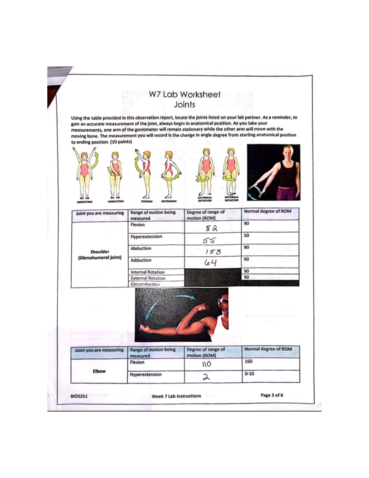 Onsite Lab Wk 7 - W7 Lab Worksheet Joints Using the table provided in ...