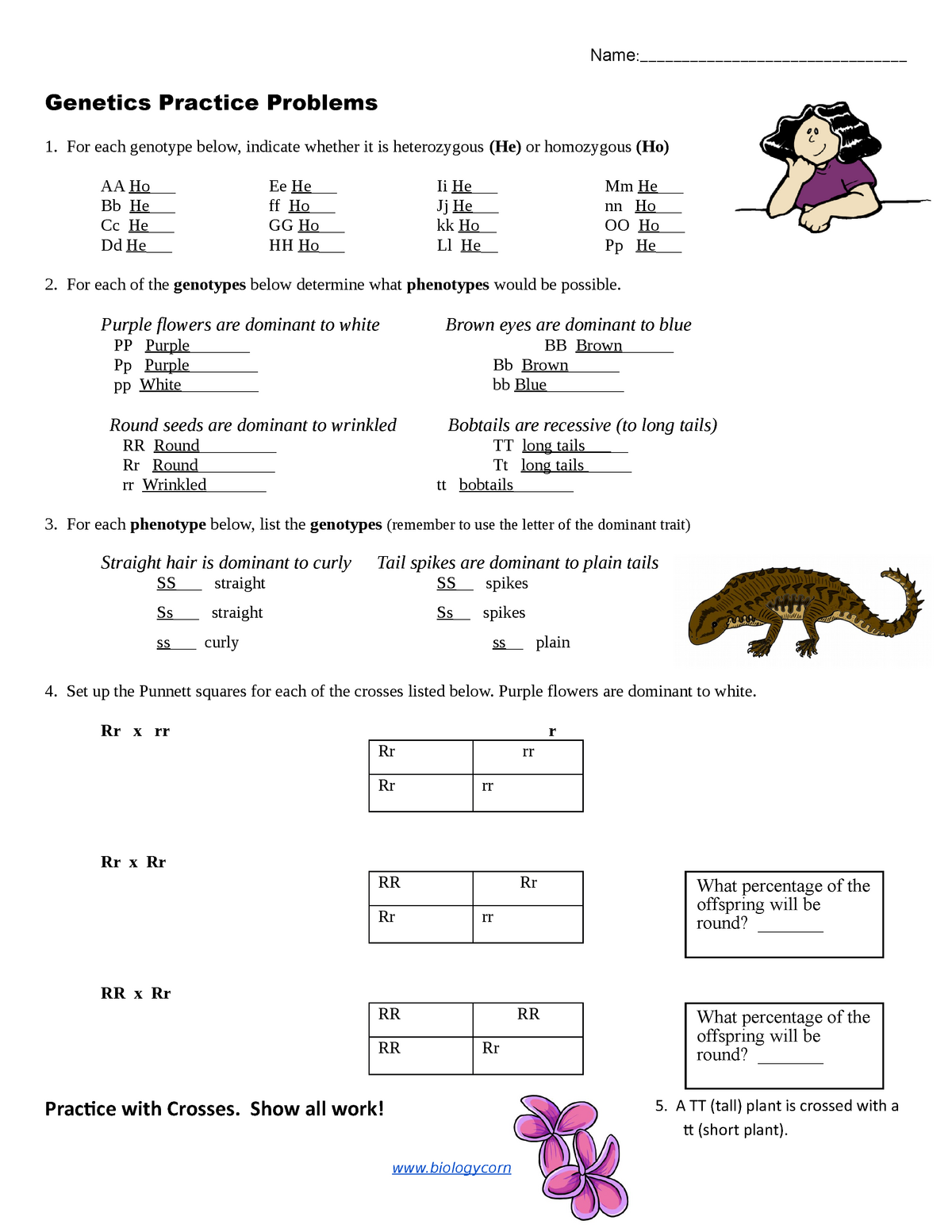 Copy of Practice - simple genetics - ENGL 22 - Science Fiction With Genetics Problems Worksheet Answer Key
