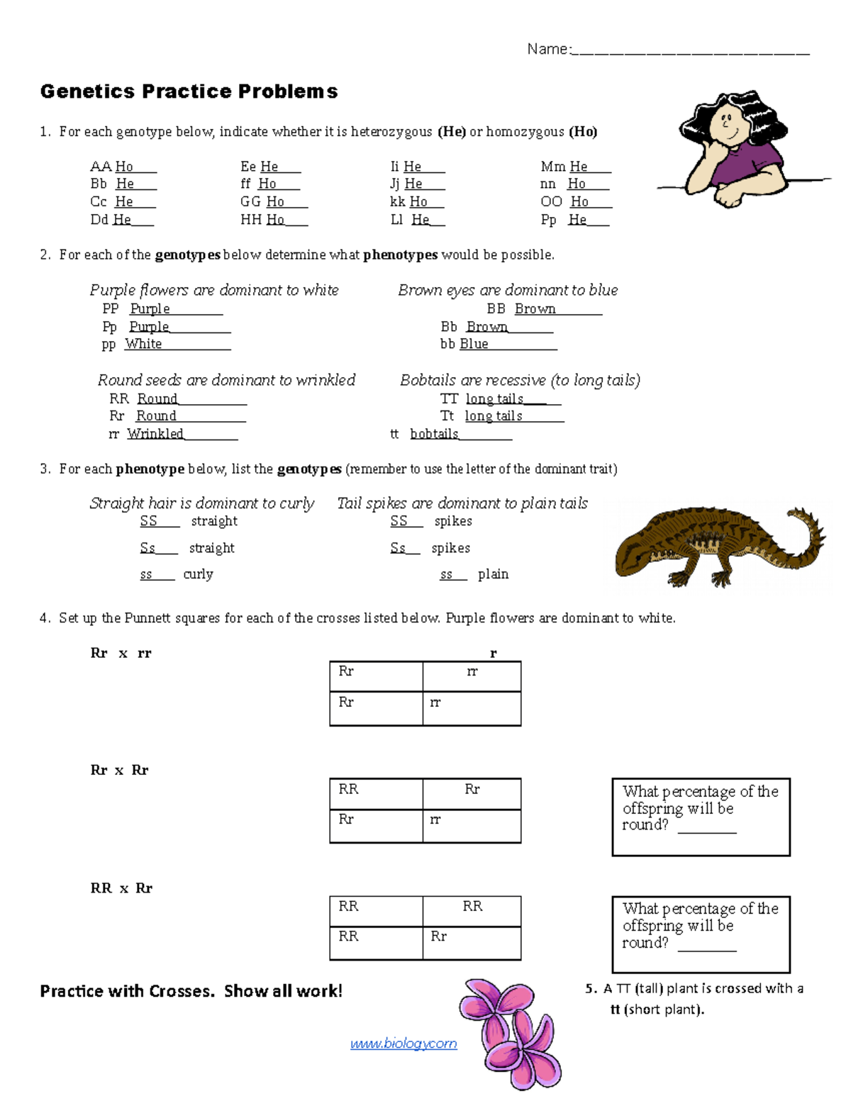 Copy of Practice - simple genetics - Name: Genetics Practice - StuDocu Regarding Genetics Practice Problems Simple Worksheet