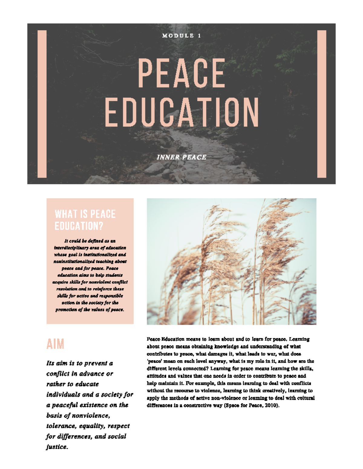 Screenshot 2024-08-15 at 9.54.50 AM - MODULE 1 PEACE EDUCATION INNER ...