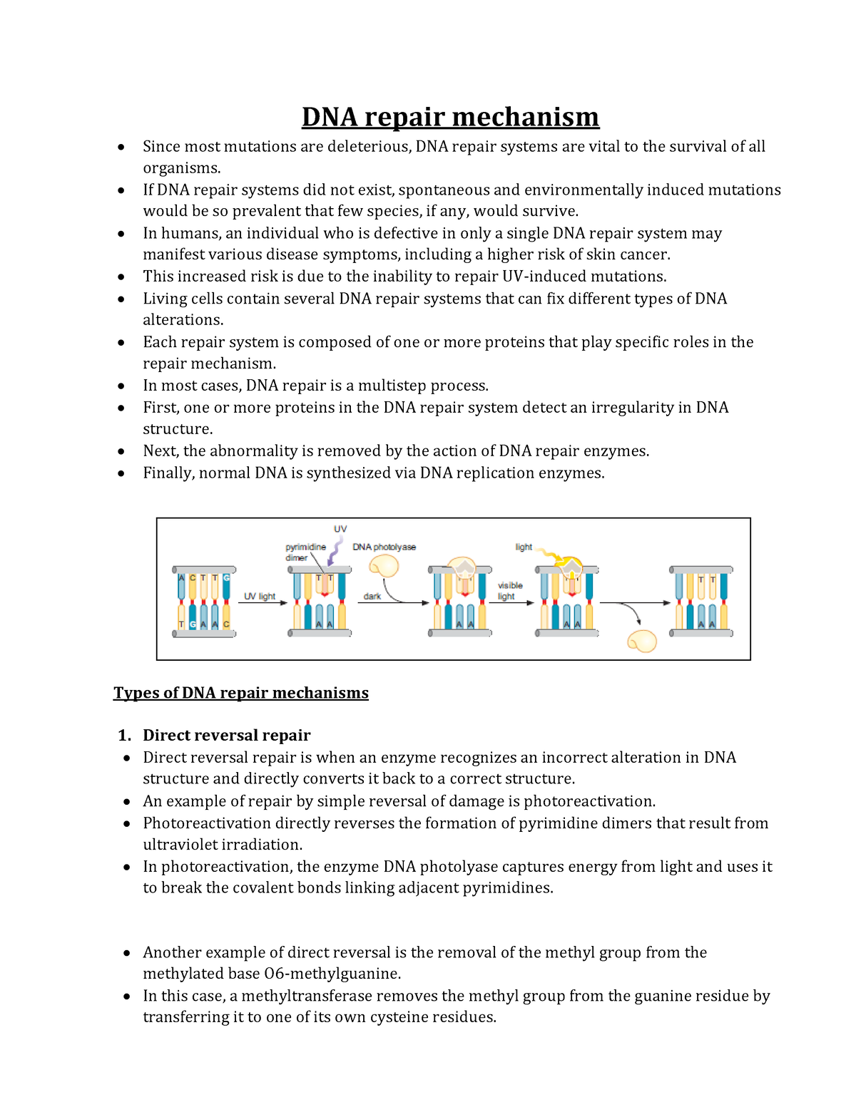 DNA repair systems