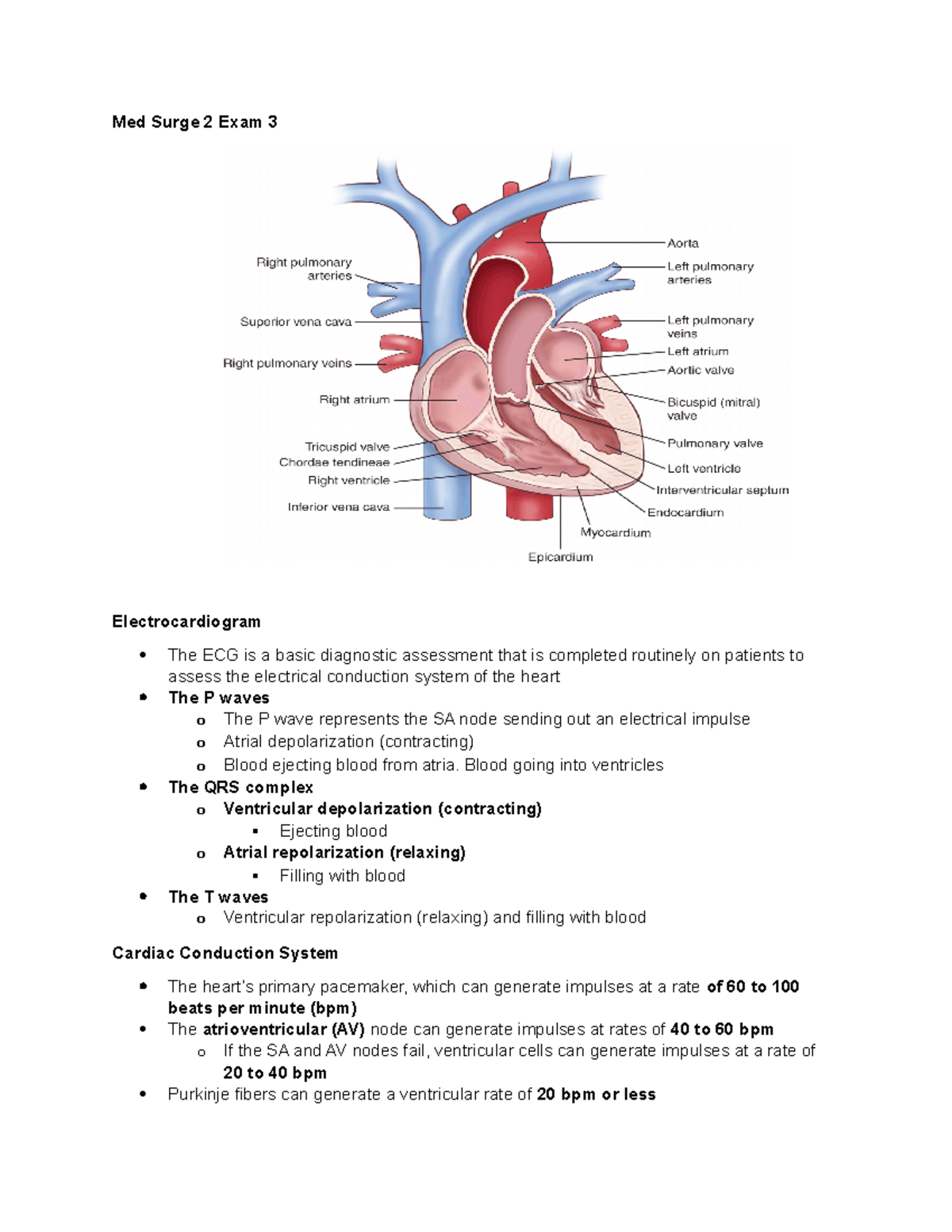 Med Surge 2 Exam 3 - Study Notes - Med Surge 2 Exam 3 Electrocardiogram ...