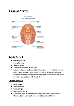 Ophthalmic Anatomy And Physiology B - Class Test 1 Revision Questions ...