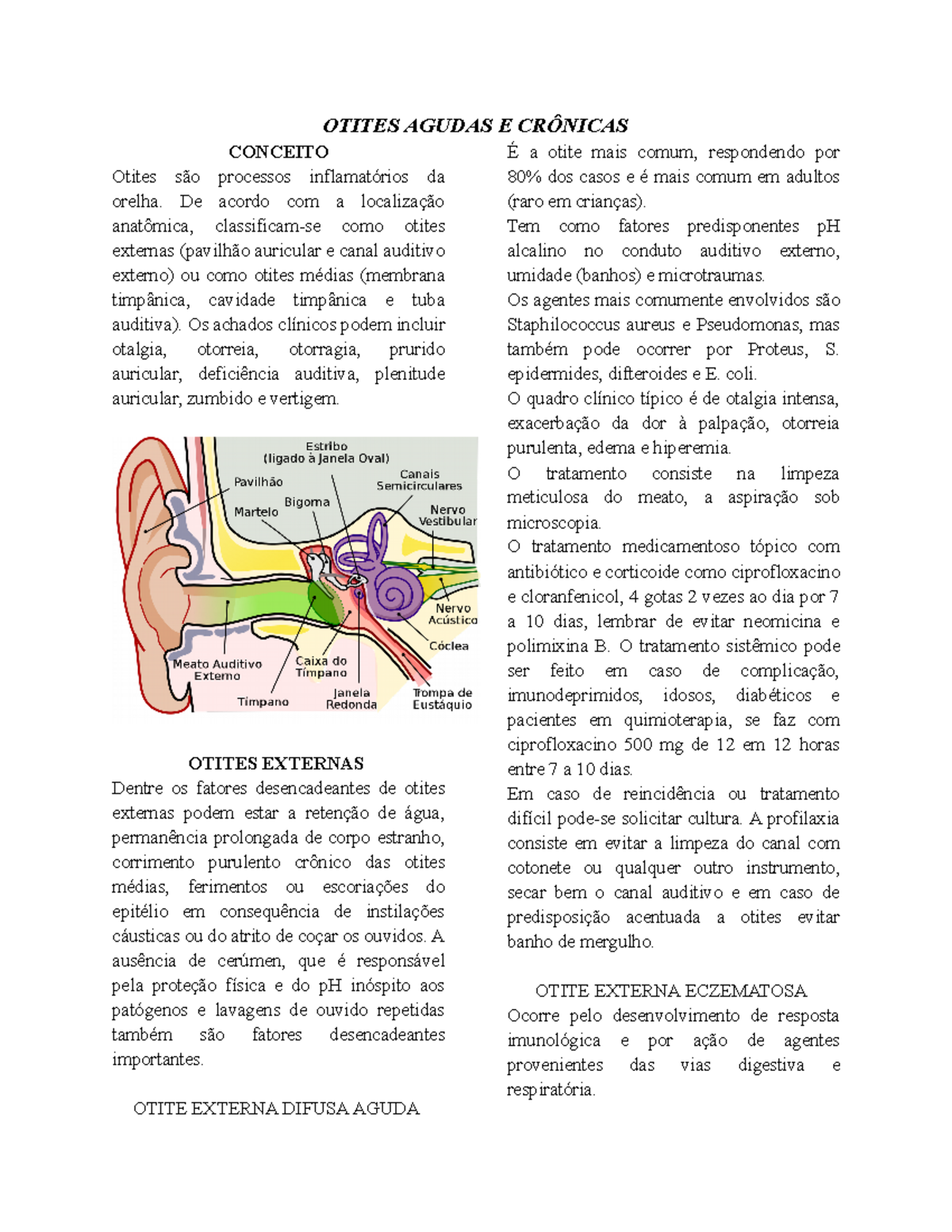 Otites Agudas e Crônicas - OTITES AGUDAS E CRÔNICAS CONCEITO Otites são ...