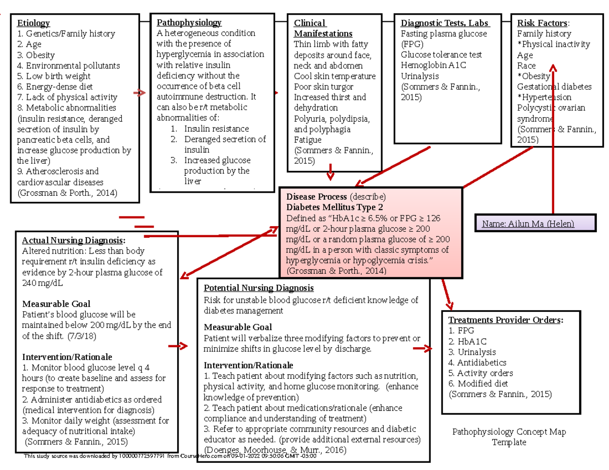 Concept Map Diabetes Mellitus Type 2 Etiology Genetics Family History 