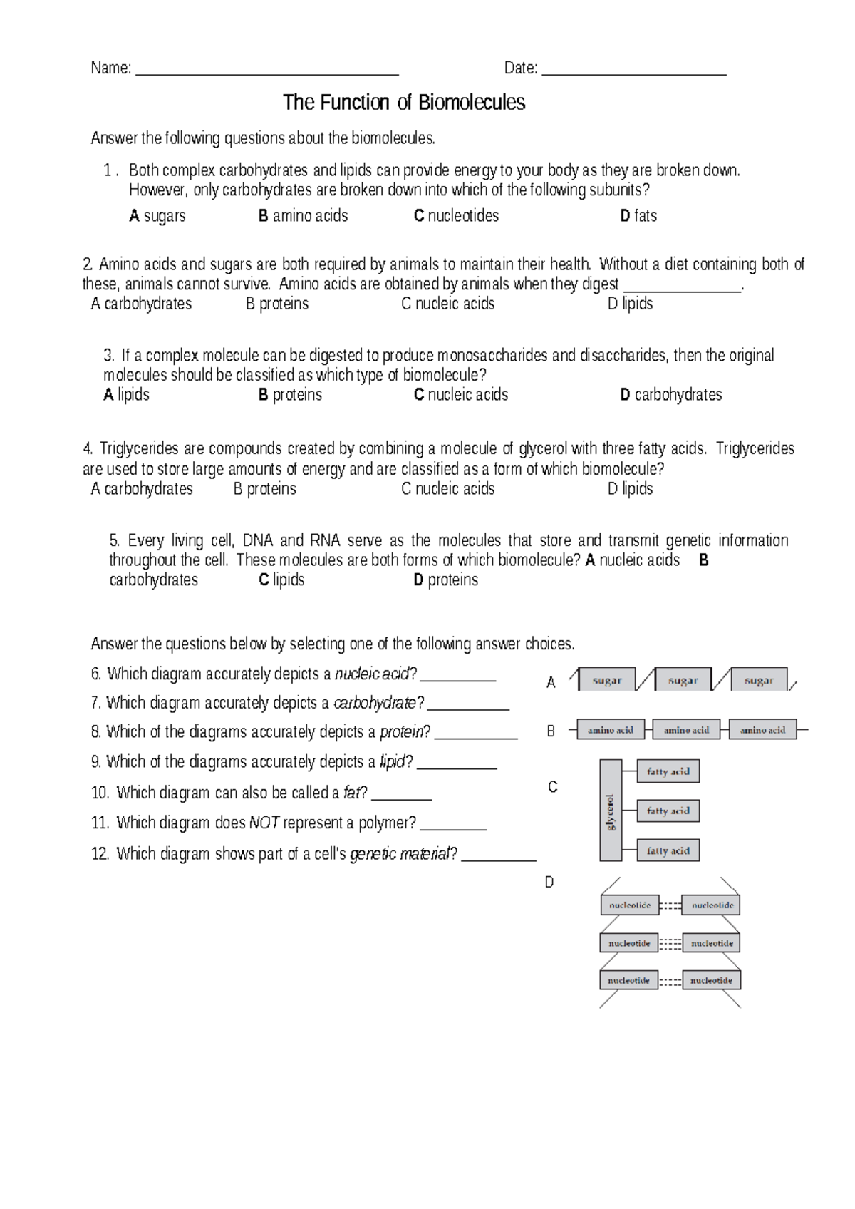 Biomolecules structure and function worksheet Both complex carbohydrates and lipids can