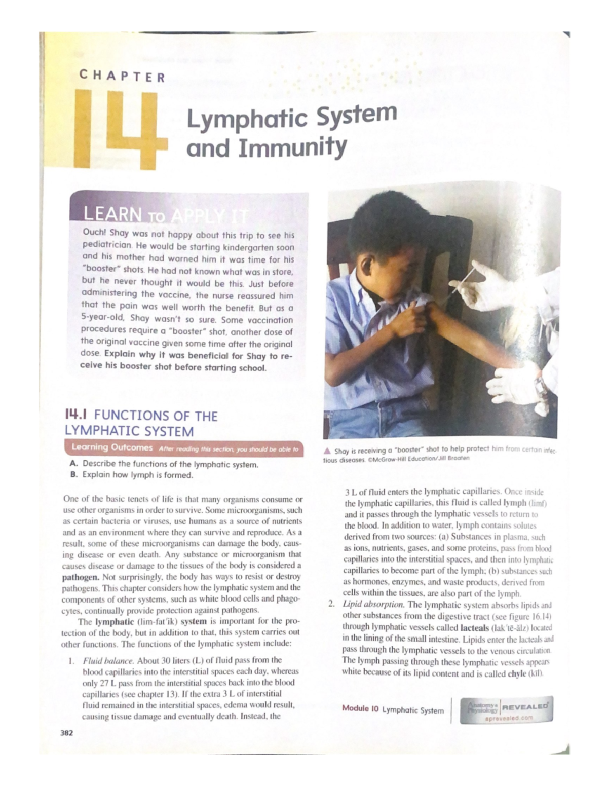 Lymphatic-System - Lymphatic System - CHAPTER Lymphatic System and ...