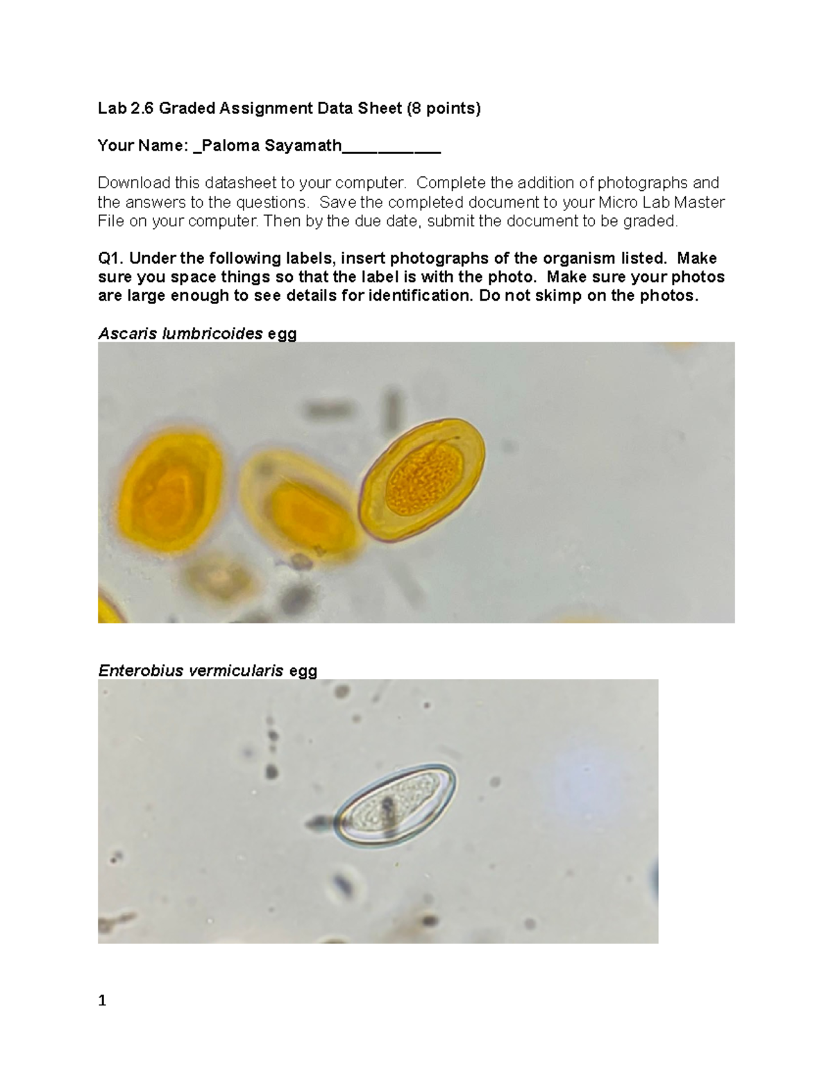 Assignemnt Data Sheet Micro Lab - Lab 2 Graded Assignment Data Sheet (8 ...