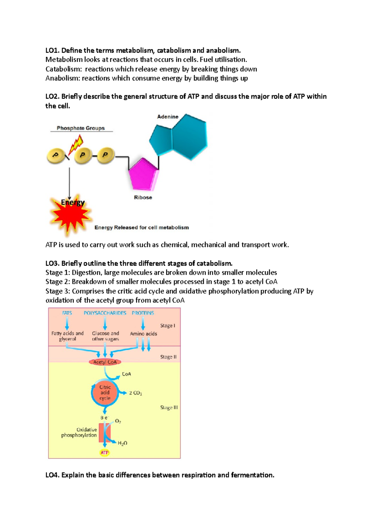 babs-babs1201-lo1-define-the-terms-metabolism-catabolism-and