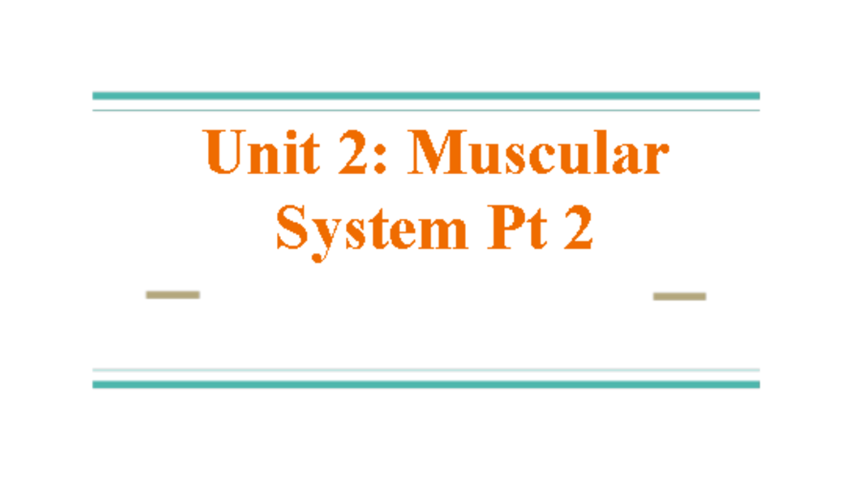 Unit+2 +Muscular+System+Pt+2+%281%29 - Deprecated API usage: The SVG ...