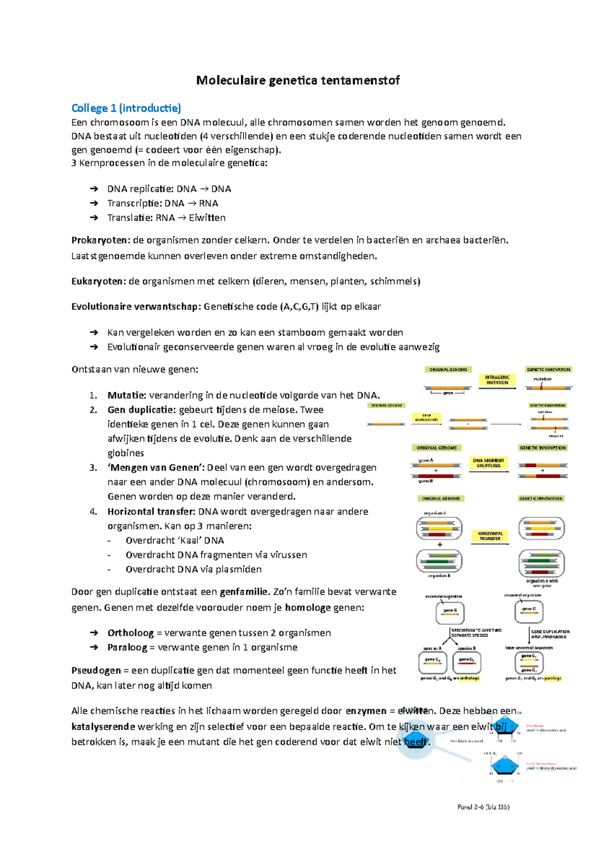 Samenvatting Moleculaire Genetica 1 - Moleculaire Genetica Tentamenstof ...