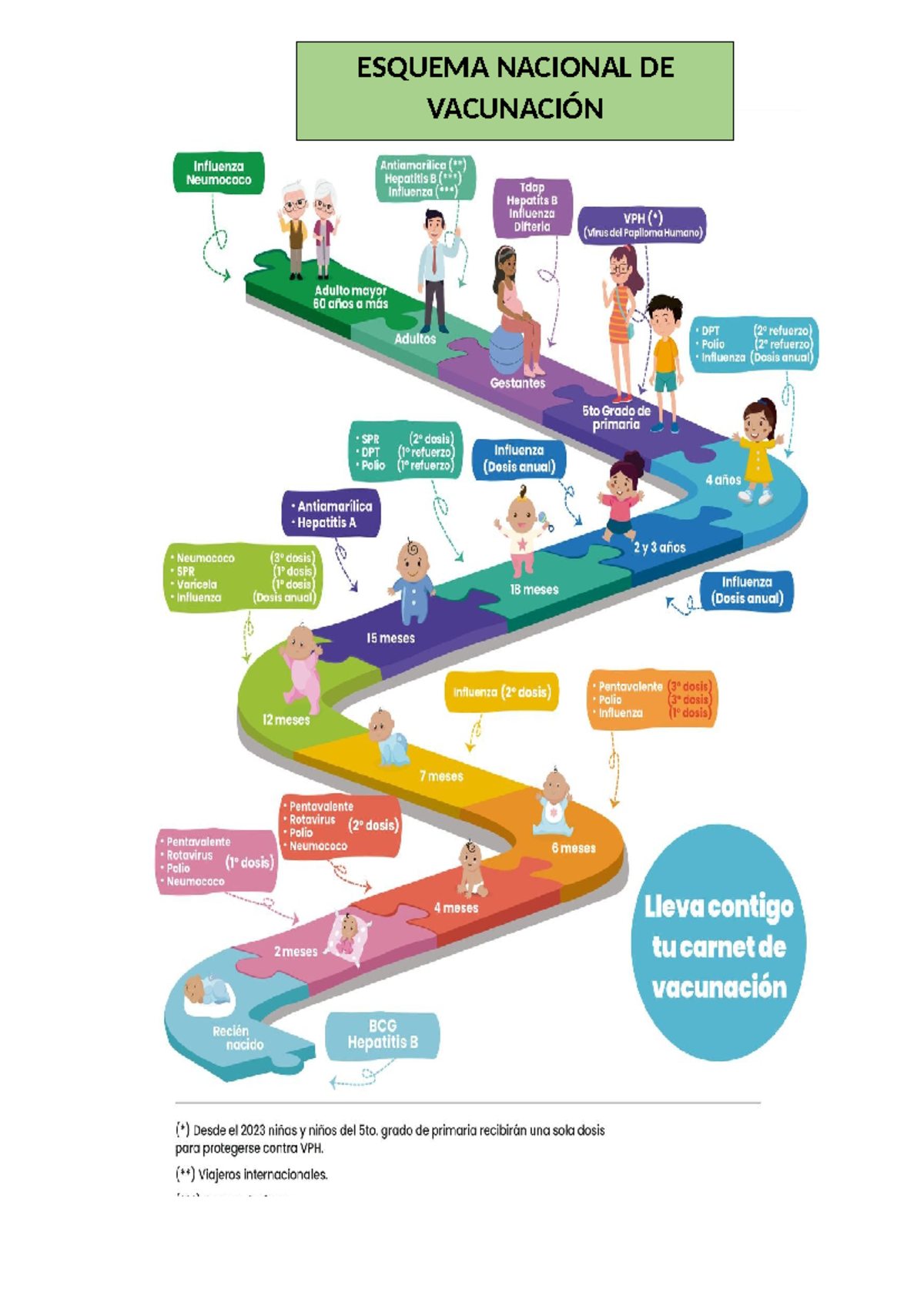 Esquema DE Vacunacion - ESQUEMA NACIONAL DE VACUNACIÓN Influenza