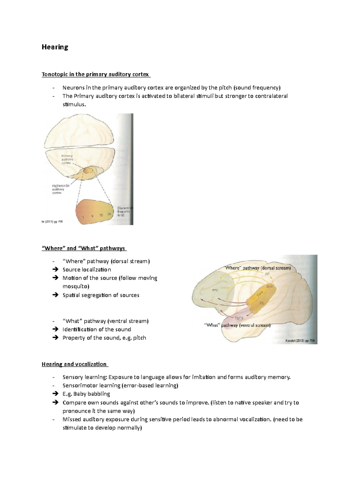 Hearing - nice - Hearing Tonotopic in the primary auditory cortex ...