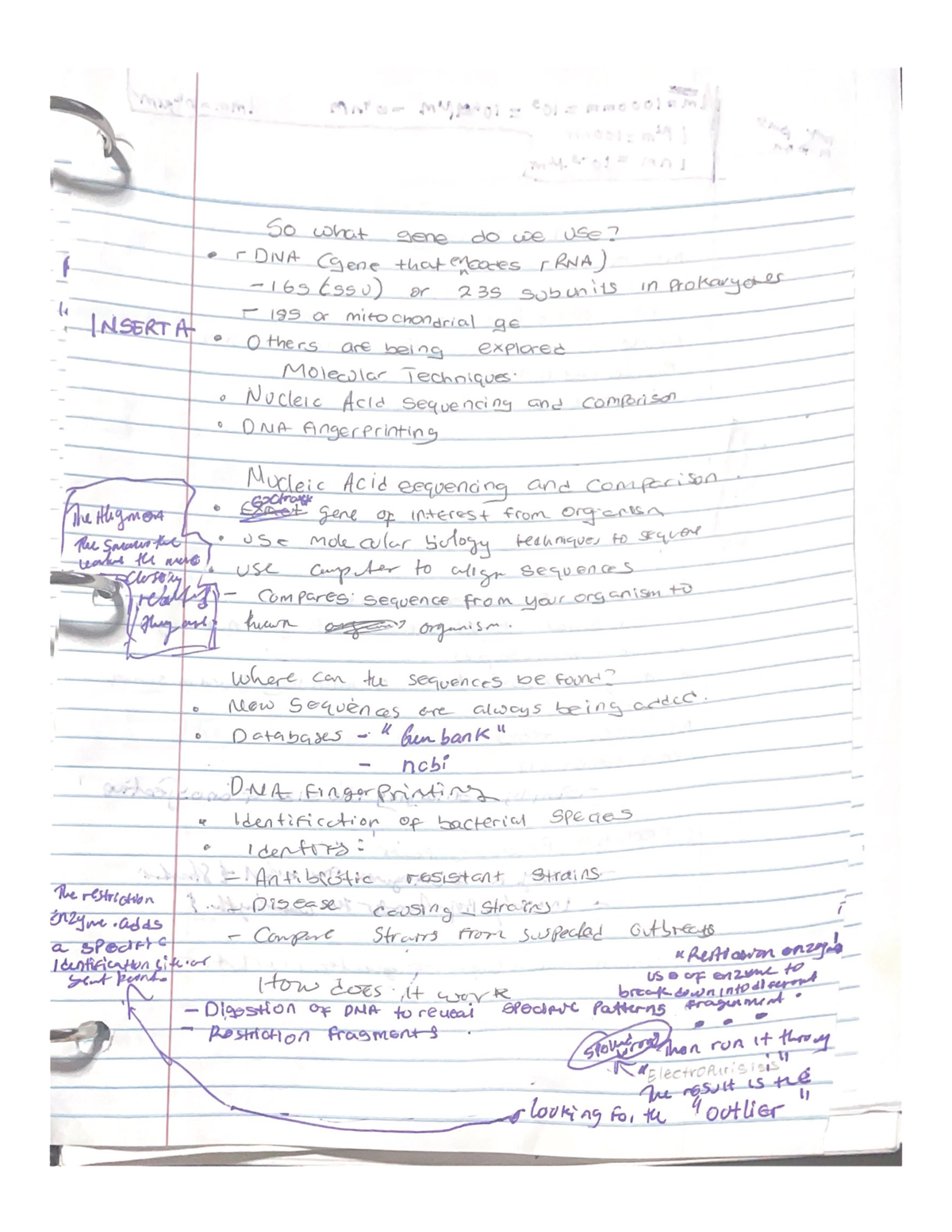 Taxonomy Continued - Dr. Kakirde - BIO 2400 - Studocu