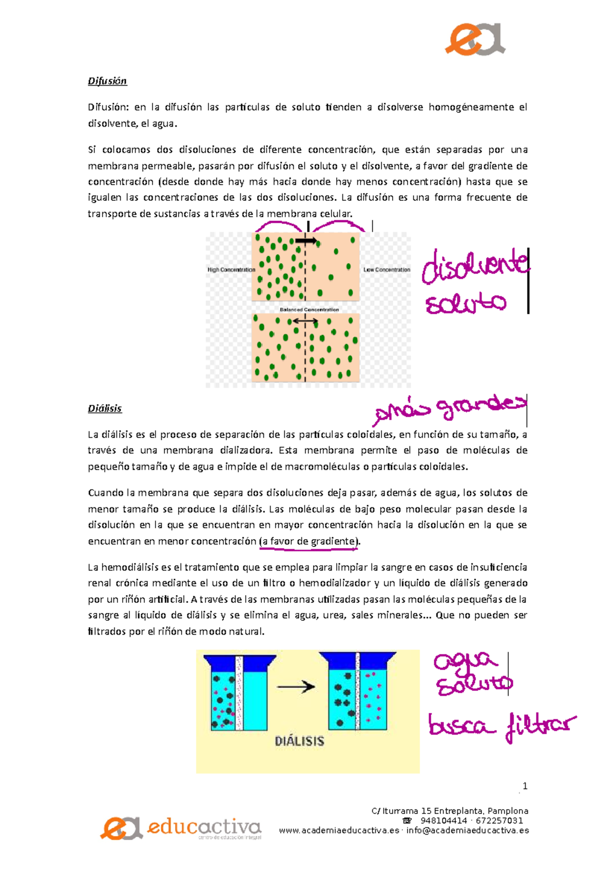 Difusion Osmosis Dialisis Difusión Difusión En La Difusión Las Partículas De Soluto Tienden 3775