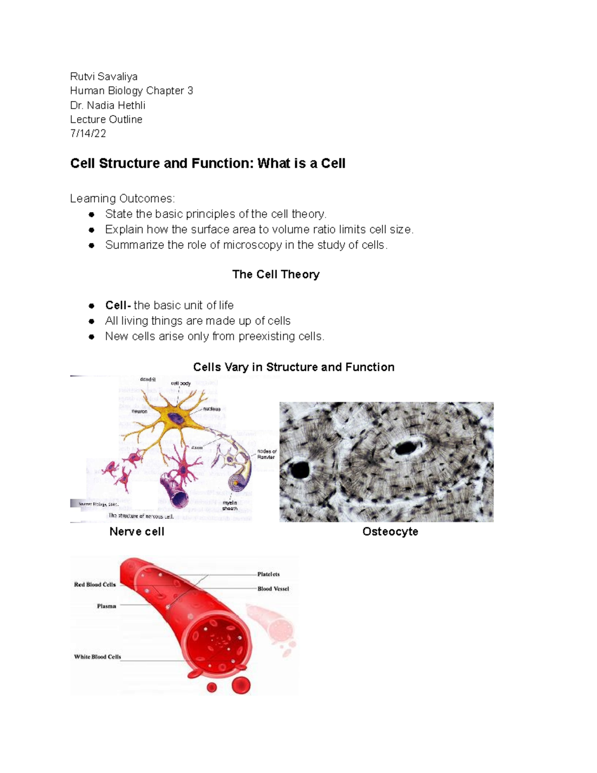 Human Biology Chapter 3 Cells Part 1 - Rutvi Savaliya Human Biology ...