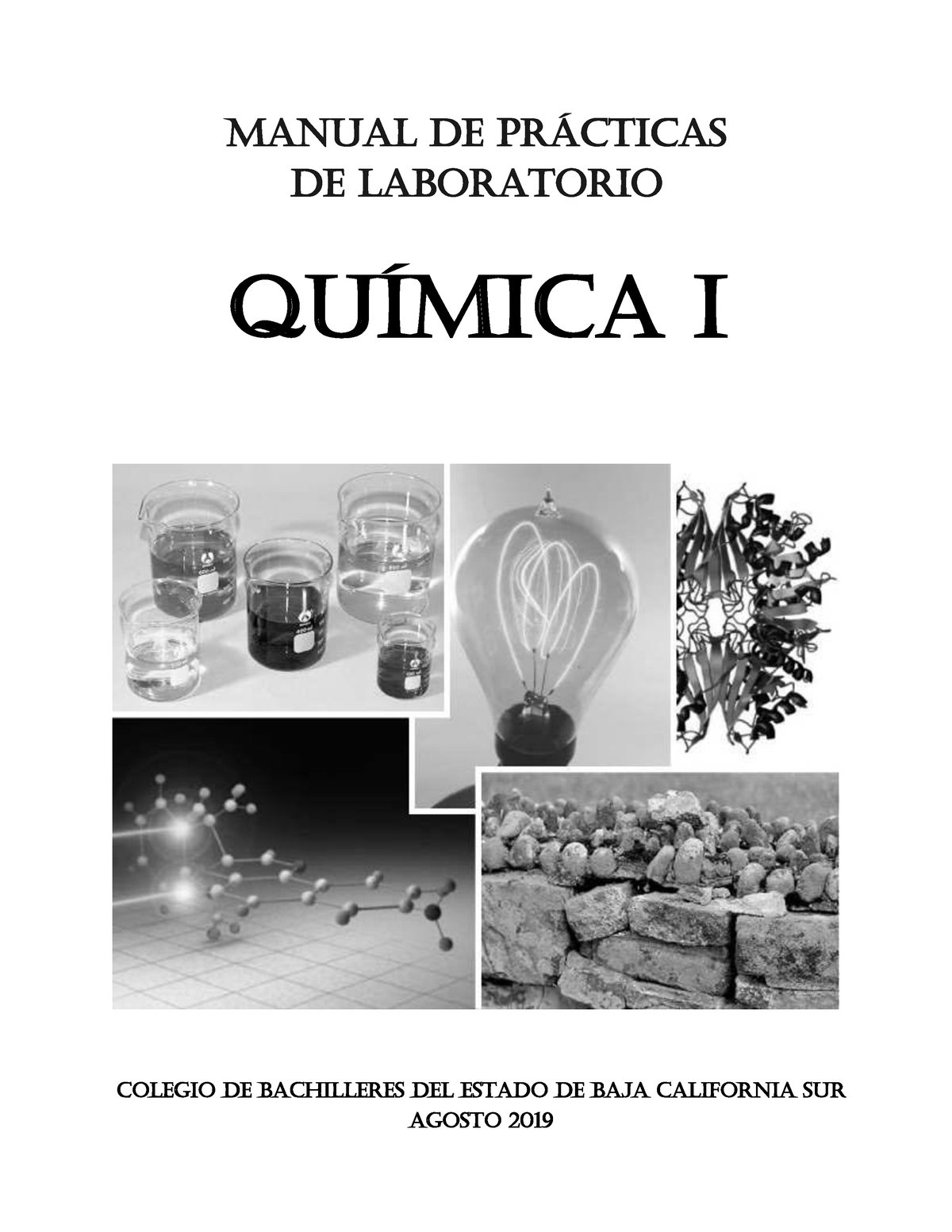 Manual De Practicas De Laboratorio Quimica I Manual De PrÁcticas De