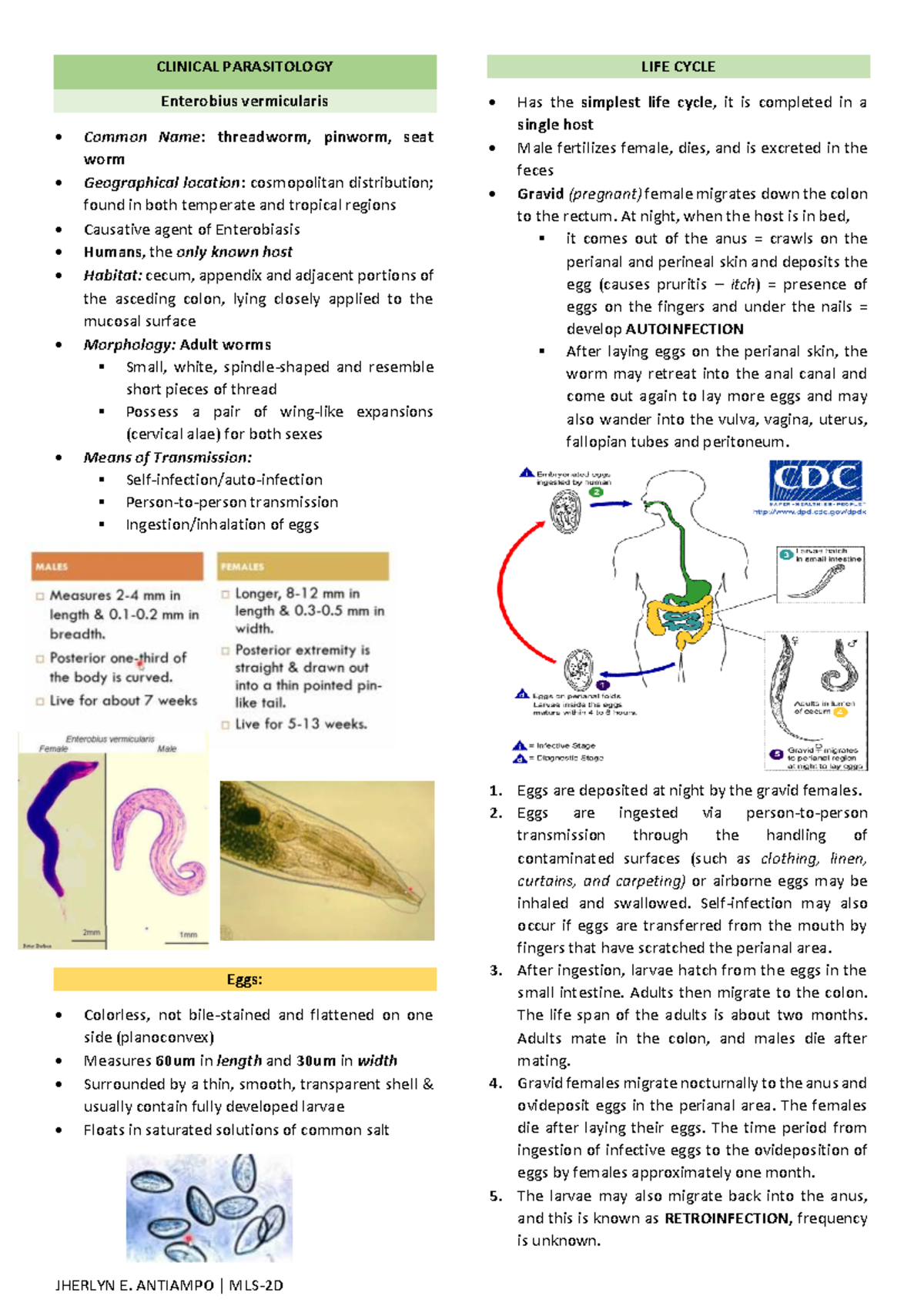 2- Nematodes P3 - Clinical Parasitology Lec - CLINICAL PARASITOLOGY ...