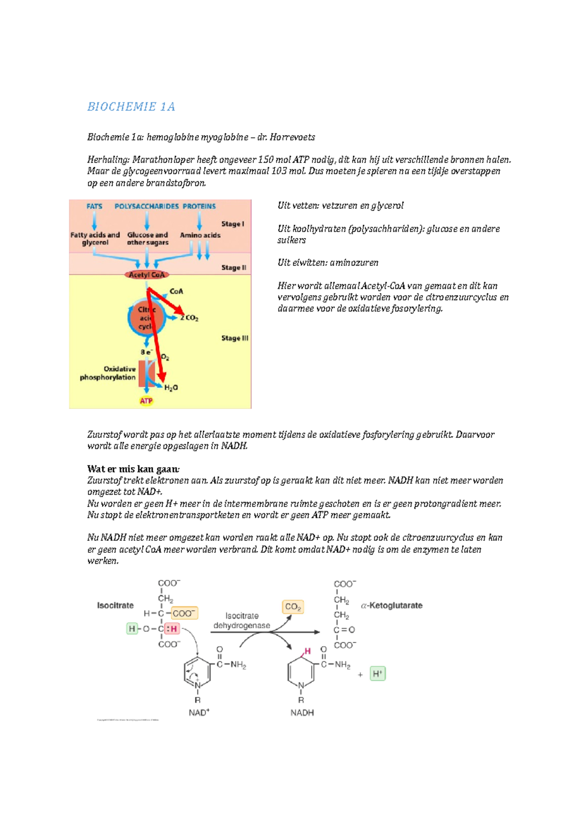 Biochemie Samenvatting - BIOCHEMIE 1A Biochemie 1a: Hemoglobine ...