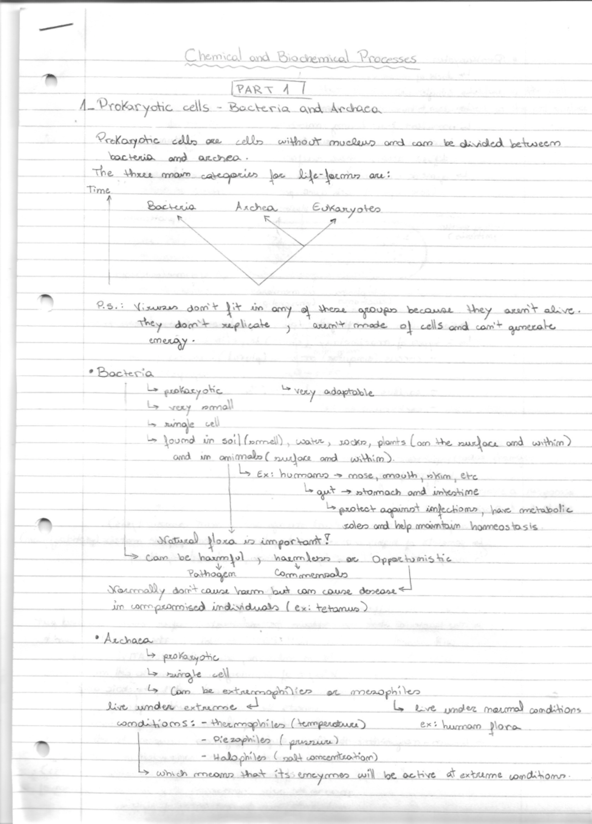 Summary - complete - Handwritten summary of the course - 1., 5 5 x ...